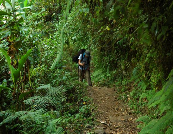 SELVA CENTRAL NATURALEZA Y RELAX 3D/2N