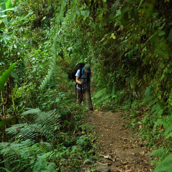 SELVA CENTRAL NATURALEZA Y RELAX 3D/2N